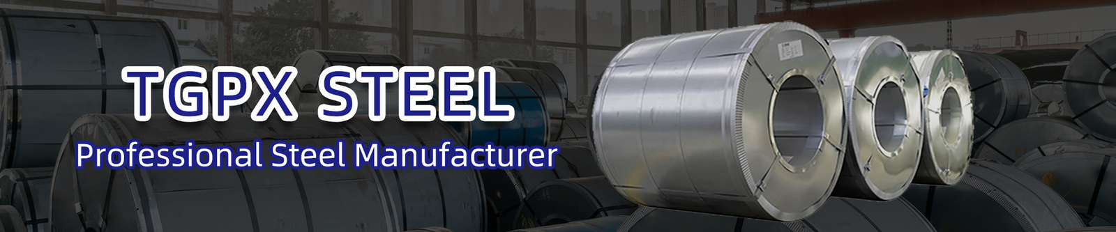 Stainless Steel Coil